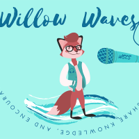 Willow Waves Podcast Studio